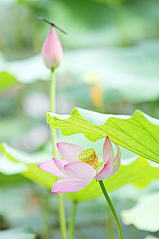 trang đánh lô đề online