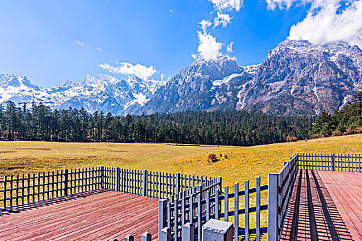 cau bach thu kep