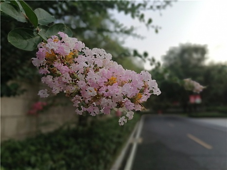 chốt số giờ vàng