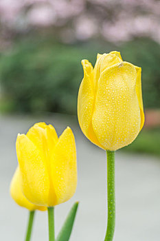 đề lô hôm nay