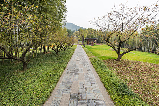 xổ số miền nam thứ 5