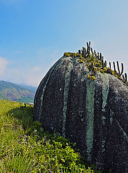 dự đoán lô bạch thủ