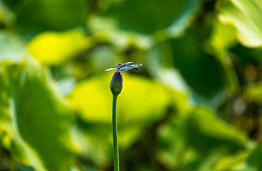 soi cầu 3 miền nét