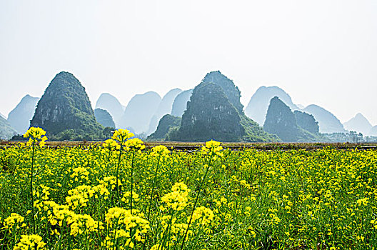 xổ số phú yên