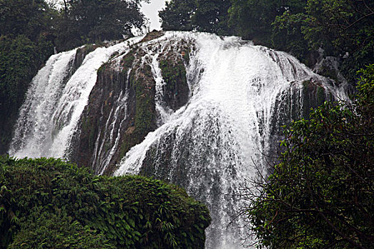 bạch thủ lô ngày hôm nay