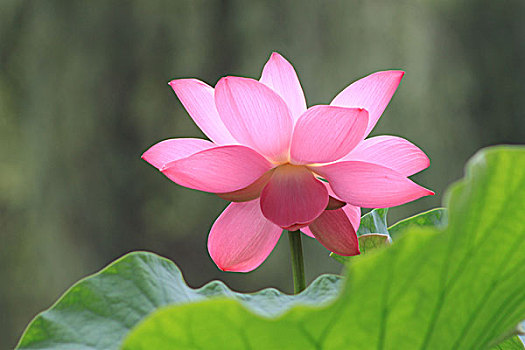 cách đánh đề chuẩn