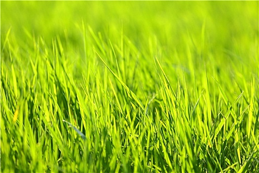 kết quả xổ số miền bắc trong tuần