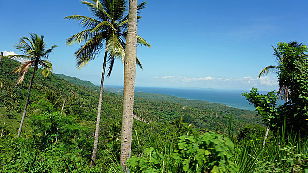 xo so minh ngoc thu 5