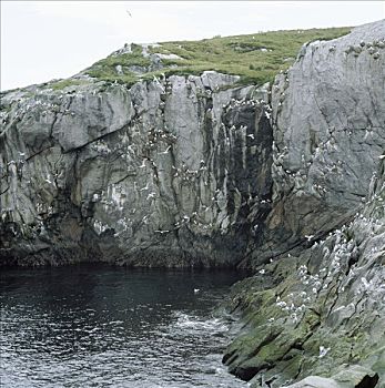 du doan xo so vl