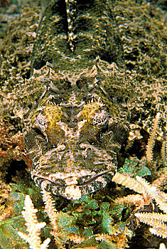 xổ số an giang ba đài
