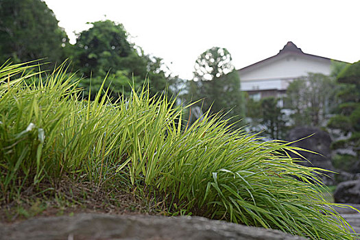 soi cầu 666