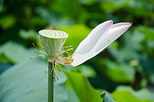 xs ba đài hôm nay