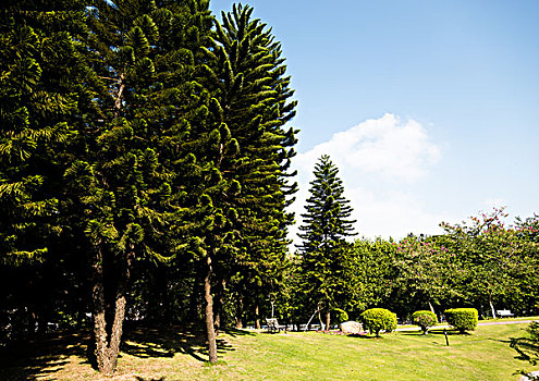 số cần thơ
