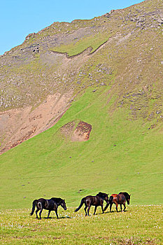 du doan xo so quang nam