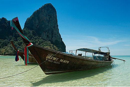 bạch thủ miền bắc hôm nay