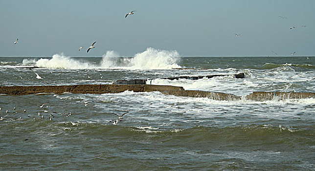 xsmb lo bach thu