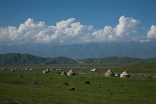 soi cau bach thu xsmb ngay hom nay