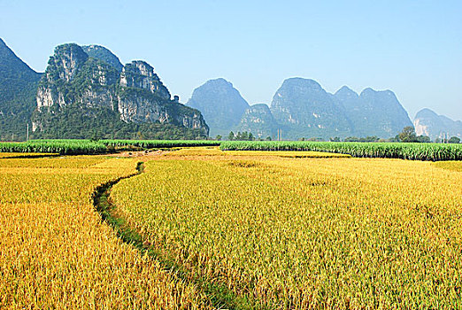 kết qua xo so miễn bac