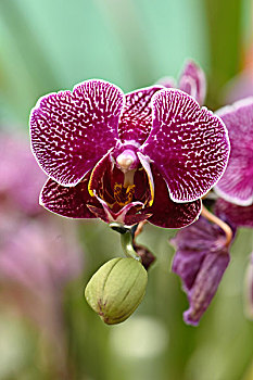 xổ số quảng bình