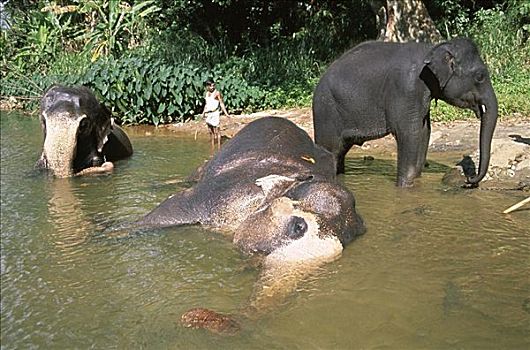 lô đề 88