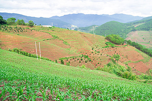 cầu tuần xsmb