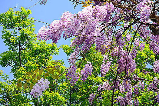 trang đánh số đề uy tín