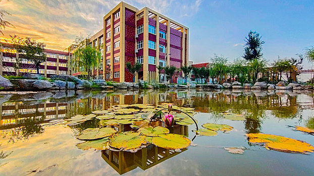 xổ số miền bắc bạch thủ