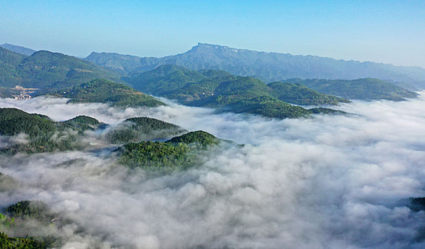 soi cau lo de chuan mien phi
