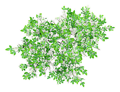 soi cầu xổ số tây ninh
