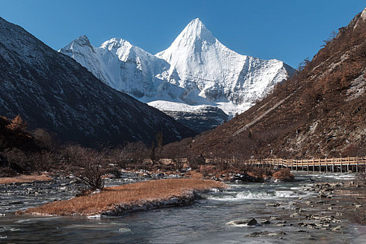 rong bach kim 666 hom nay