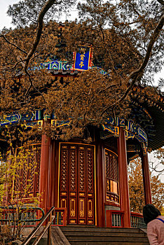 chỉ cách đánh đề