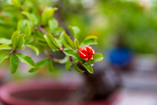 soi cầu lô bạch thủ miền bắc miễn phí
