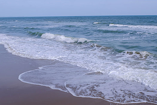 bạch thủ lô miễn phí