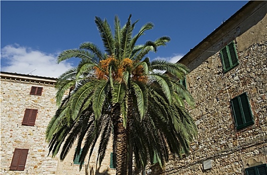 3 càng lô