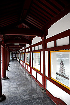 soi cau rong vang