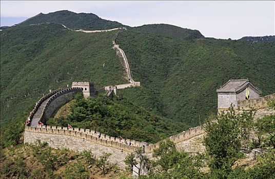 tỷ lệ ăn 3 càng