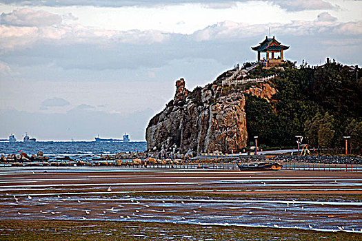rong bach kim 666 mien nam