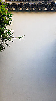 cầu bạch thủ