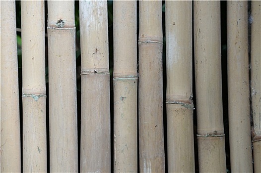 xổ số long an hôm nay