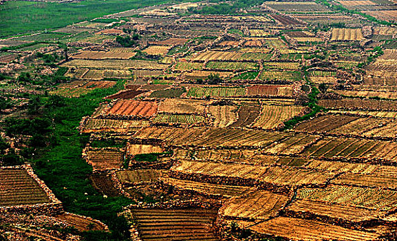 miền bắc trực tiếp