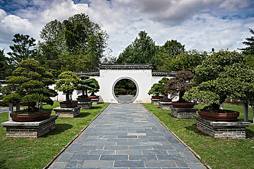 soi lo bach thu