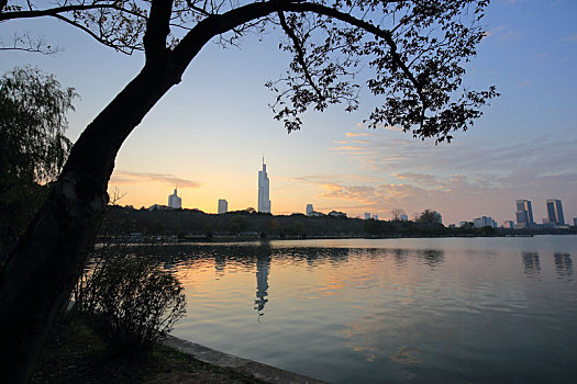 soi cau rong
