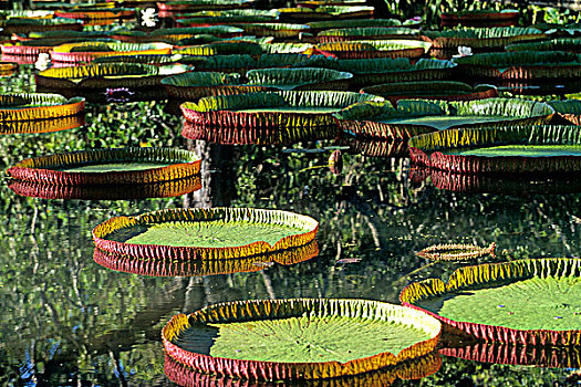 lô khung 247