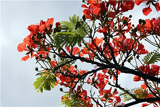 xổ số miền nam ngày thứ 7