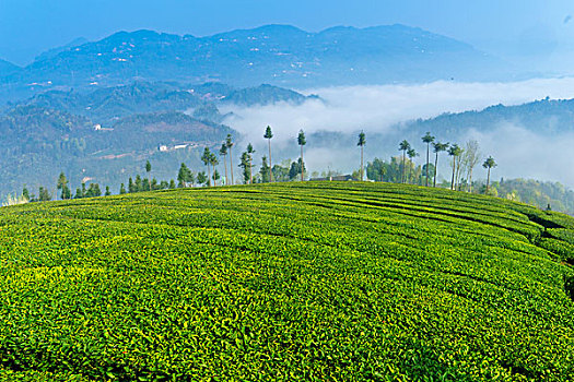 soi cau xs quang nam dac biet