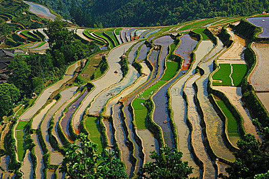 xs bình thuận