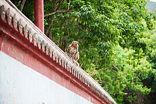 soi cau du doan xo so mien nam