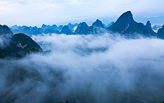 bạch thủ lô là giải mấy