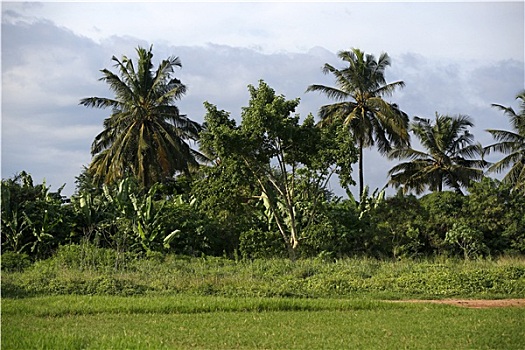 xổ số thứ