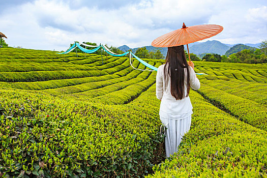 soi cau bach thu 888 hom nay